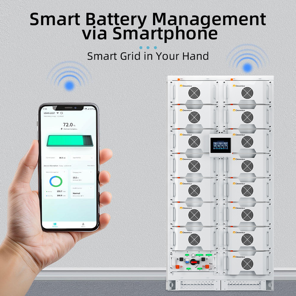 Sistema de Almacenamiento de E - Energy Storage Rack reseña y precio